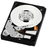 Western digital VelociRaptor 74GB (WD740BLFS) Western digital VelociRaptor 74GB (WD740BLFS)